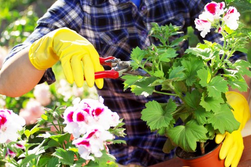 Selection of plants for Wallington gardens