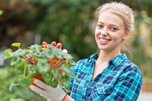Professional trimming hedges in a residential garden