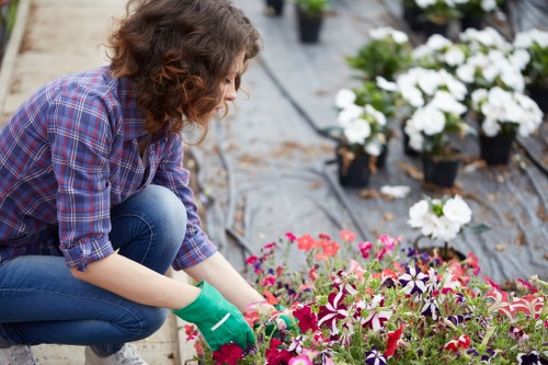 Professional lawn mowing team at work in Wallington