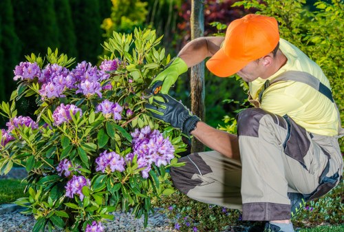 Professional landscaping services in Wallington