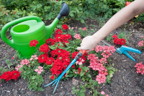 Gardener clearing overgrown plants in a Wallington garden