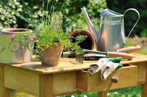 Choosing the right lawn mowing service in Wallington