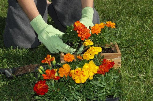 Different types of hedges requiring specific trimming techniques