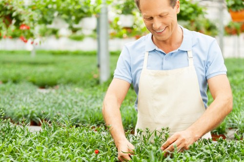 Maintenance of landscape gardens in Wallington