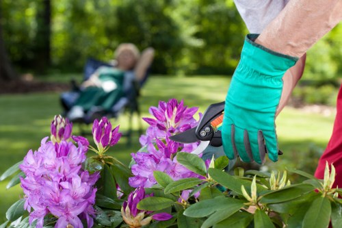 Our dedicated team delivering exceptional lawn mowing services