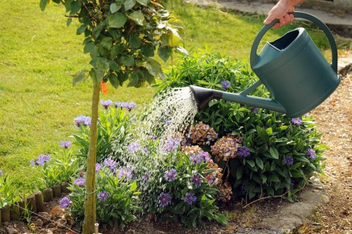 Modern landscape gardening trends in Wallington