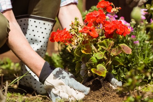 High-quality lawn care equipment used by About Us Lawn Mowing Wallington