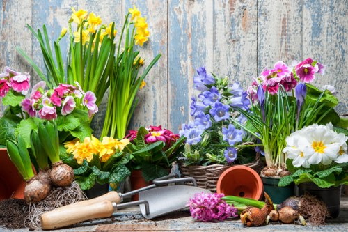Selection of native plants suitable for Wallington gardens