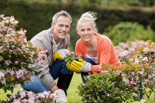 Healthy, green lawn maintained through seasonal mowing